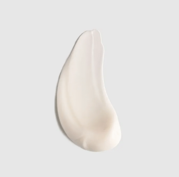 Crema SNRS - Imagen 2